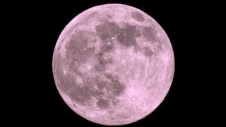 A full pink moon rises in the black sky.