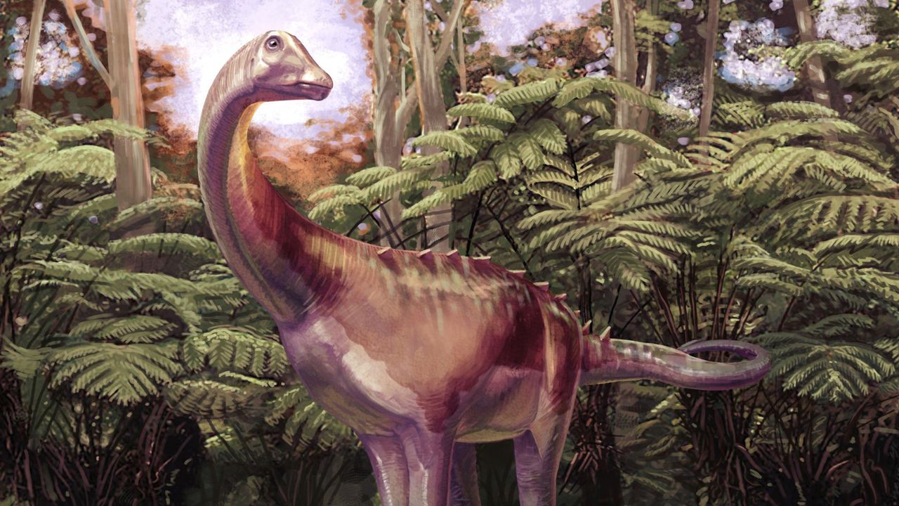 Pierwszy dinozaur Antarktydy to tytanozaur – odkrycie sprzed 40 lat zrewidowane