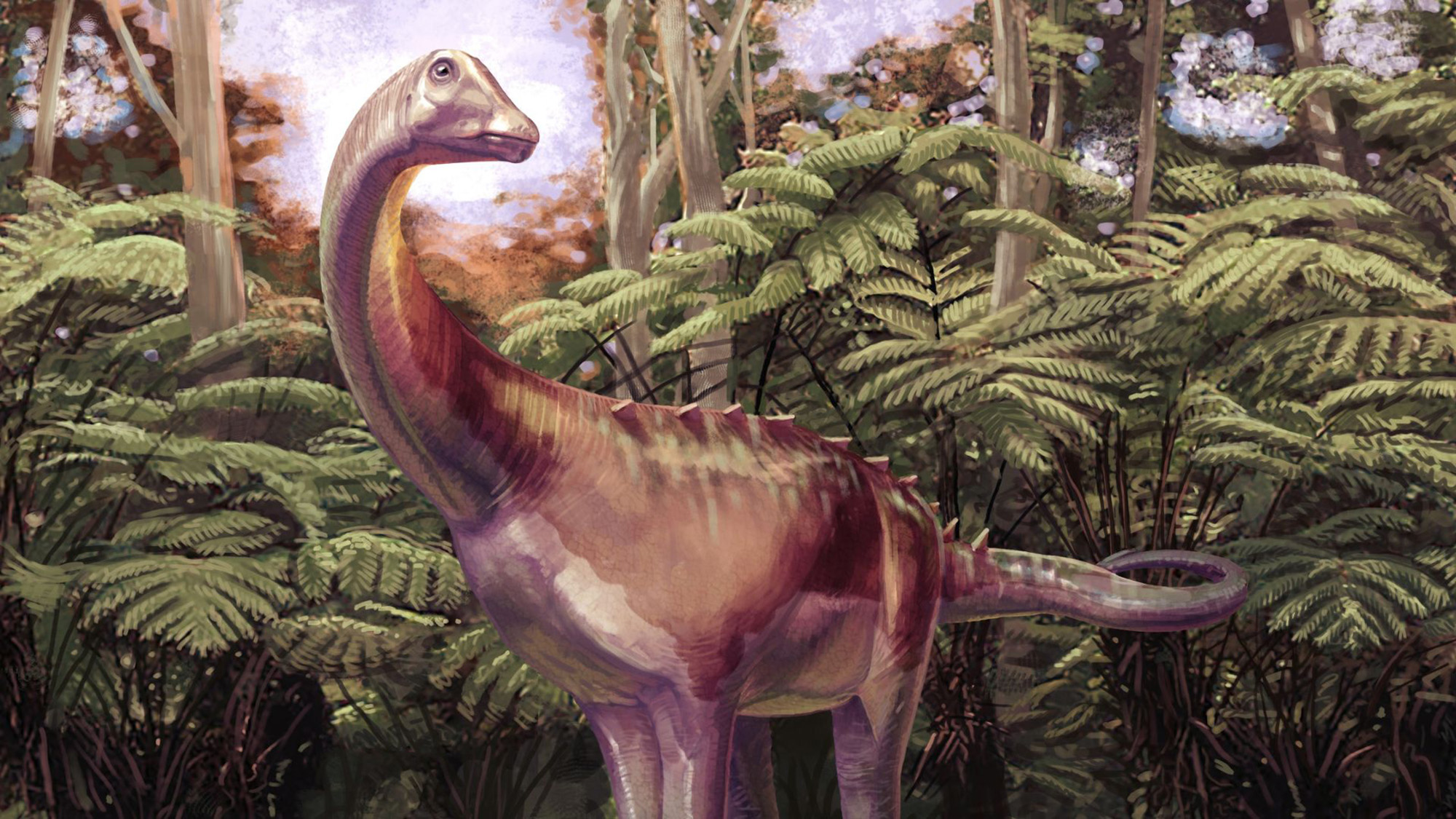 An artist reconstruction of the titanosaur discovered on Antarctica. 