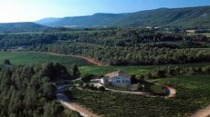Penedes