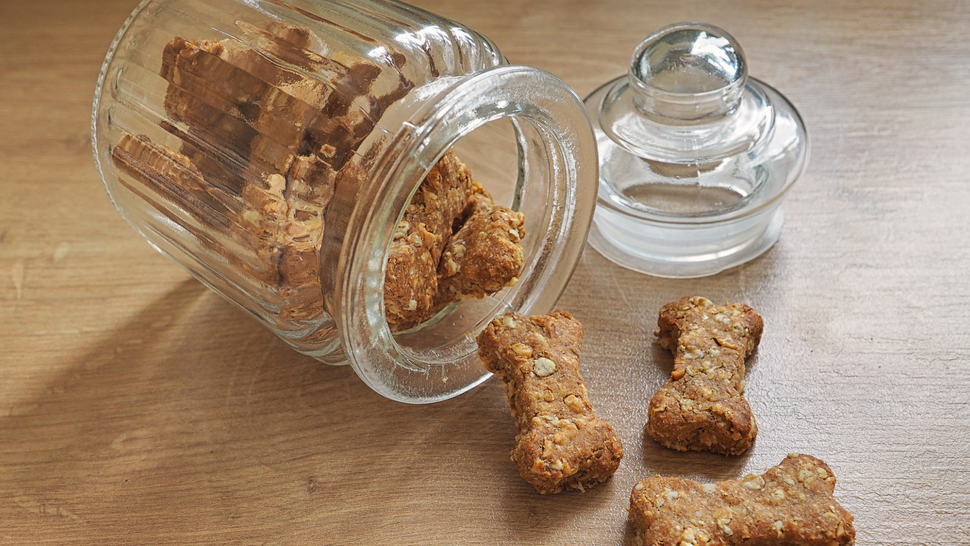 Do dog treats expire? How to long to keep dog treats PetsRadar