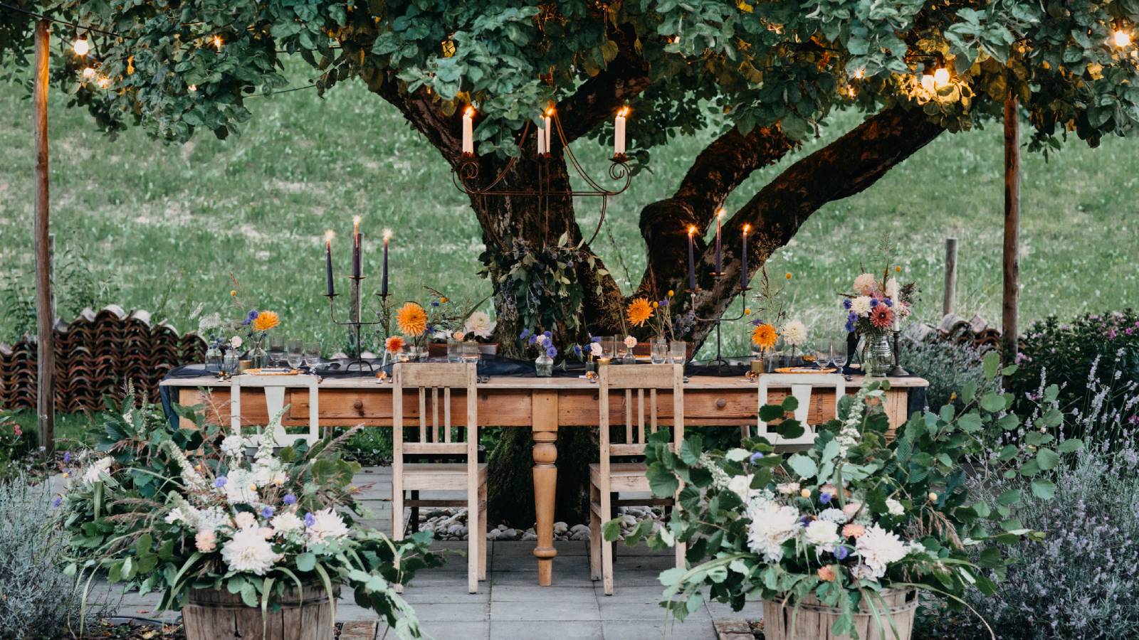 A set dining table and chairs outdoors under a tree