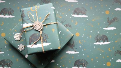 Winter Animal Constellation Christmas Wrapping Paper