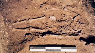 An image of a child&#039;s skeleton in an excavated grave