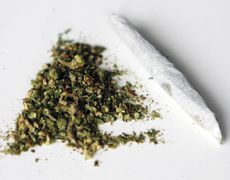 A marijuana cigarette