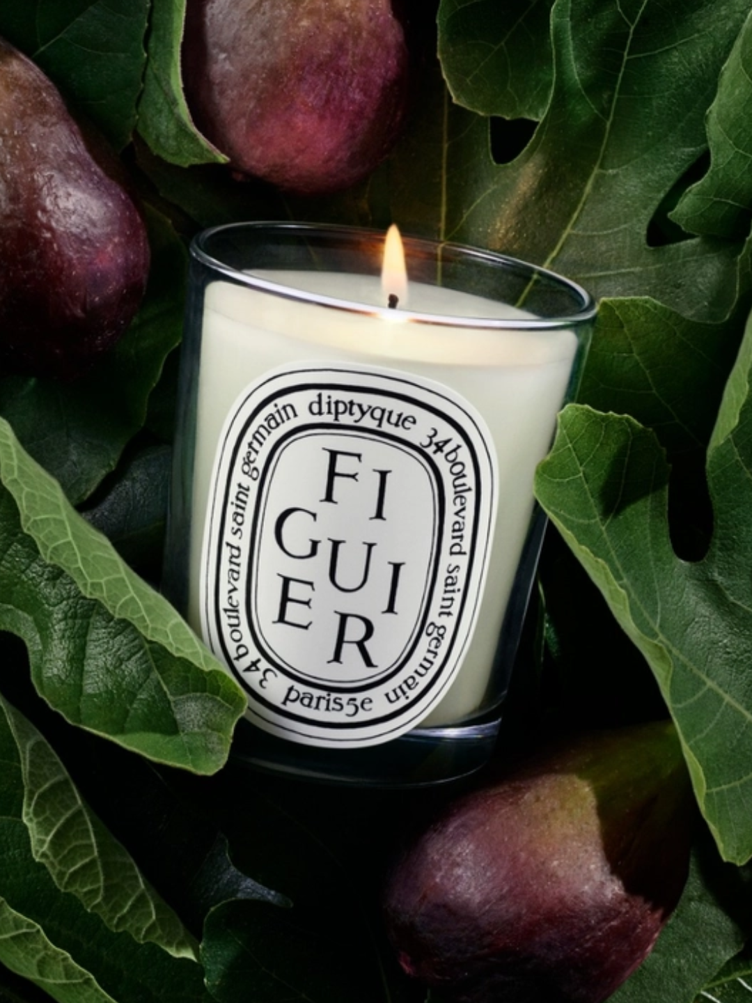 A small fig scented candle from Diptyque