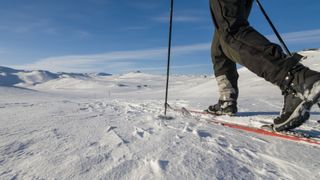 Nordic back country skier