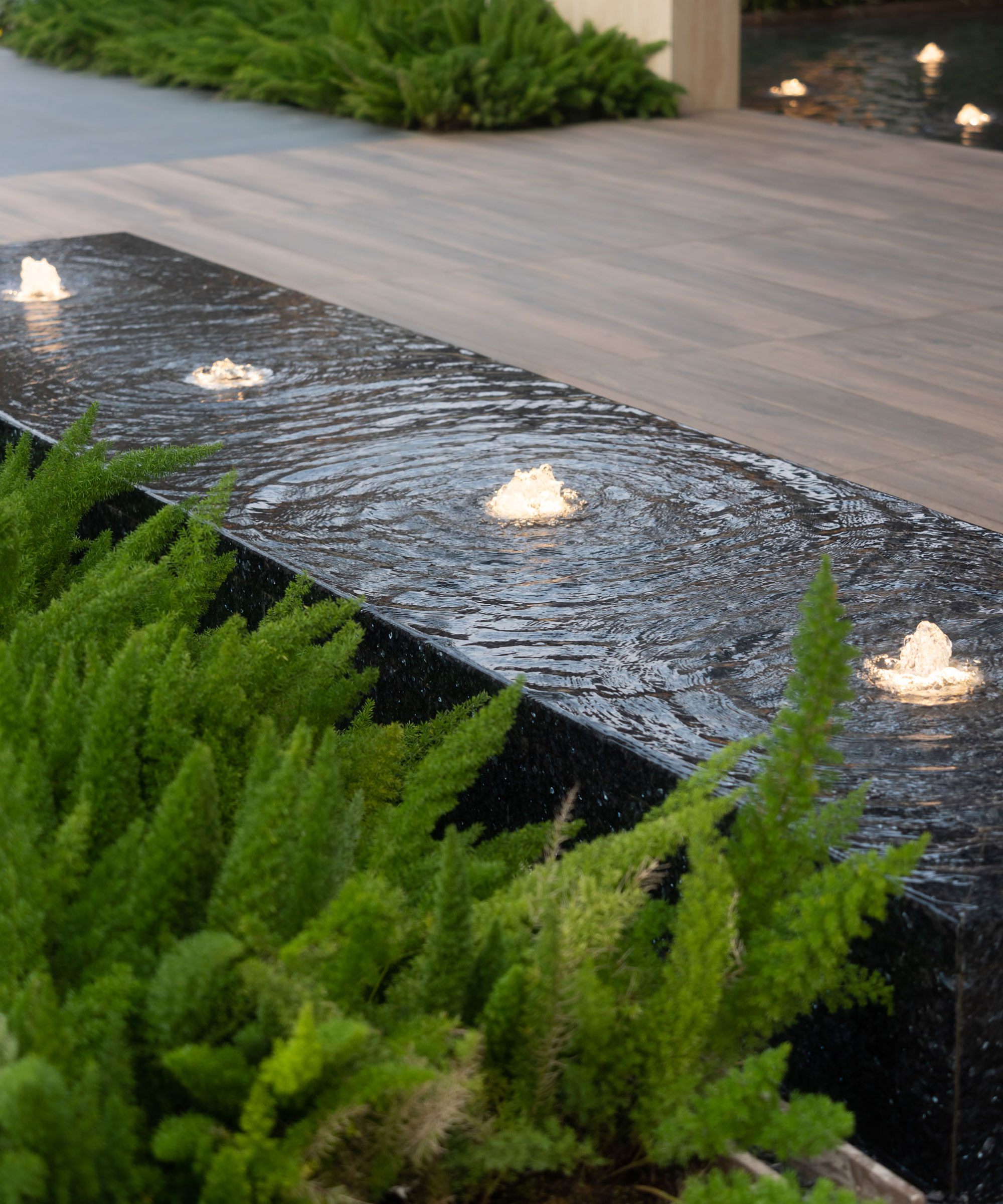 modern water feature with lighting, deck and evergreen plants
