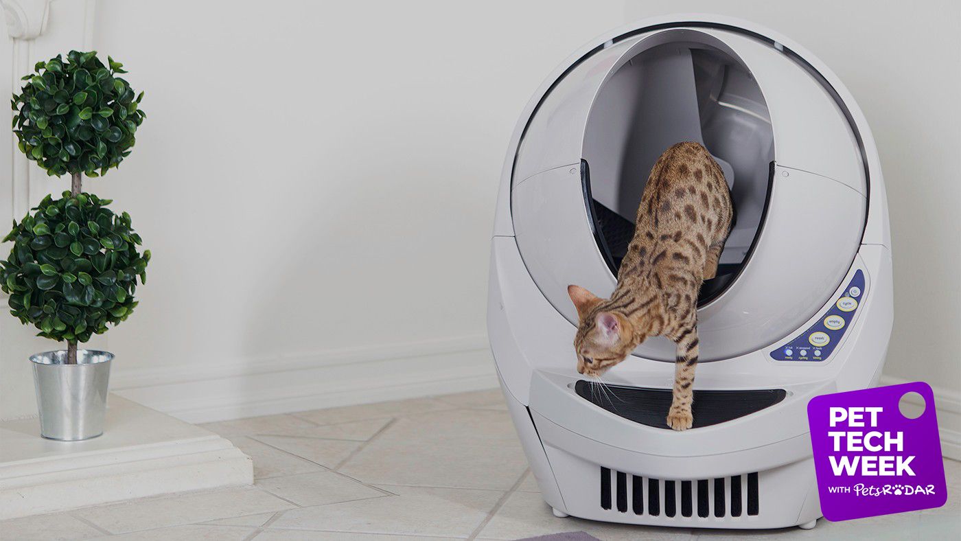 Litterrobot III open air automatic selfcleaning litter box review