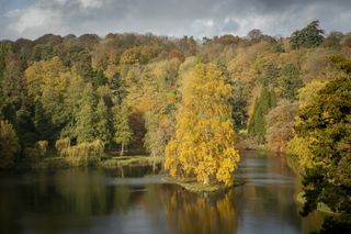 Telephoto: Zooming in with a focal length of 85mm has filled the frame with color and made this tree on the island a clearer focal point