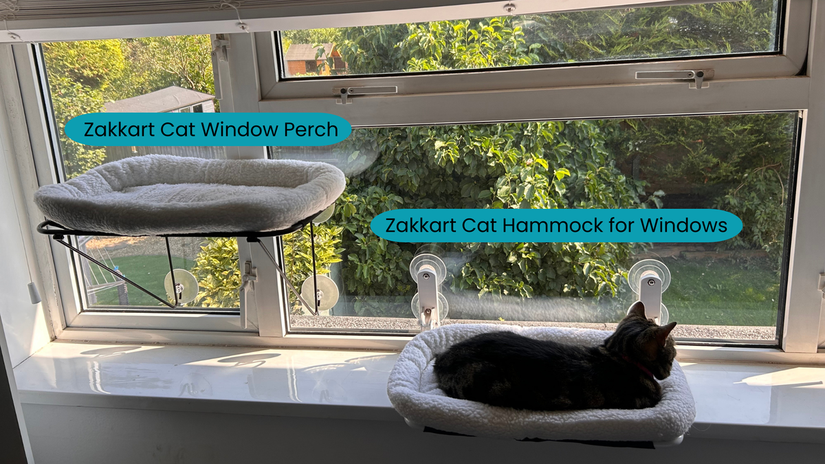 A comparison between the Zakkart Cat Window Perch and the Zakkart Cat Hammock for Windows, two of the best cat hammocks