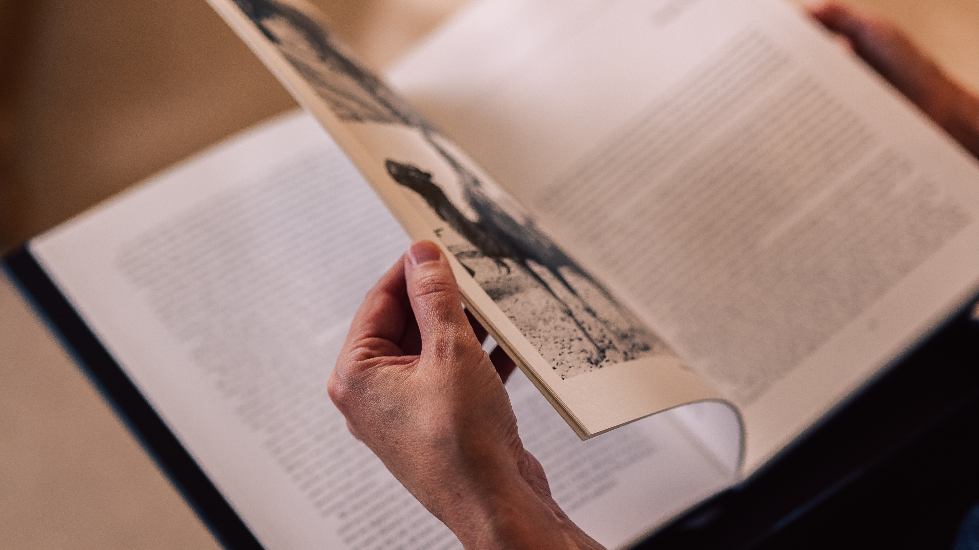 Image provided by LifeBook Memoirs