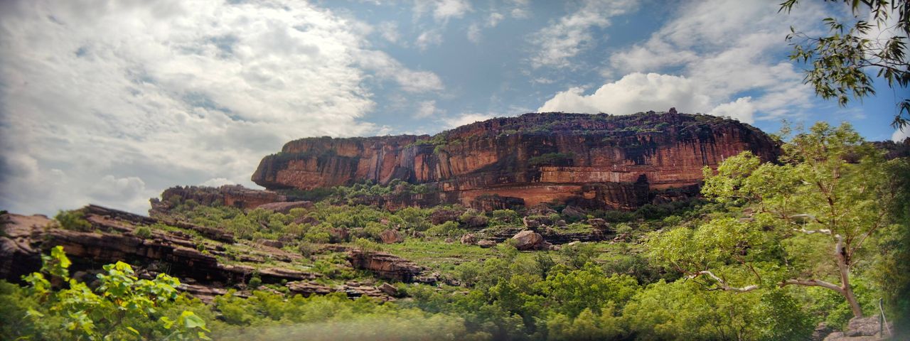 A photo taken on the Realme 13 Pro Plus alongside an Andoer 1.55x anamorphic lens.