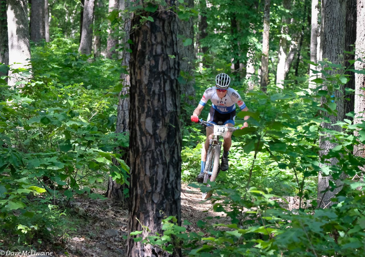 A lone rider winds his way through the heavy forest.