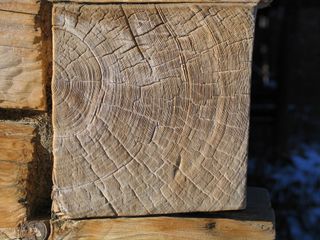 This is fir timber from a historical building in southern Poland.