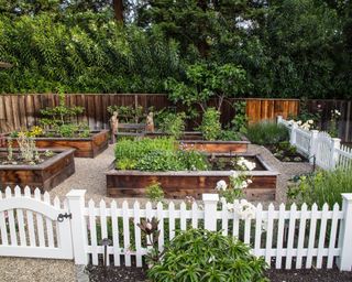 A white picket fence built around a vegetable garden