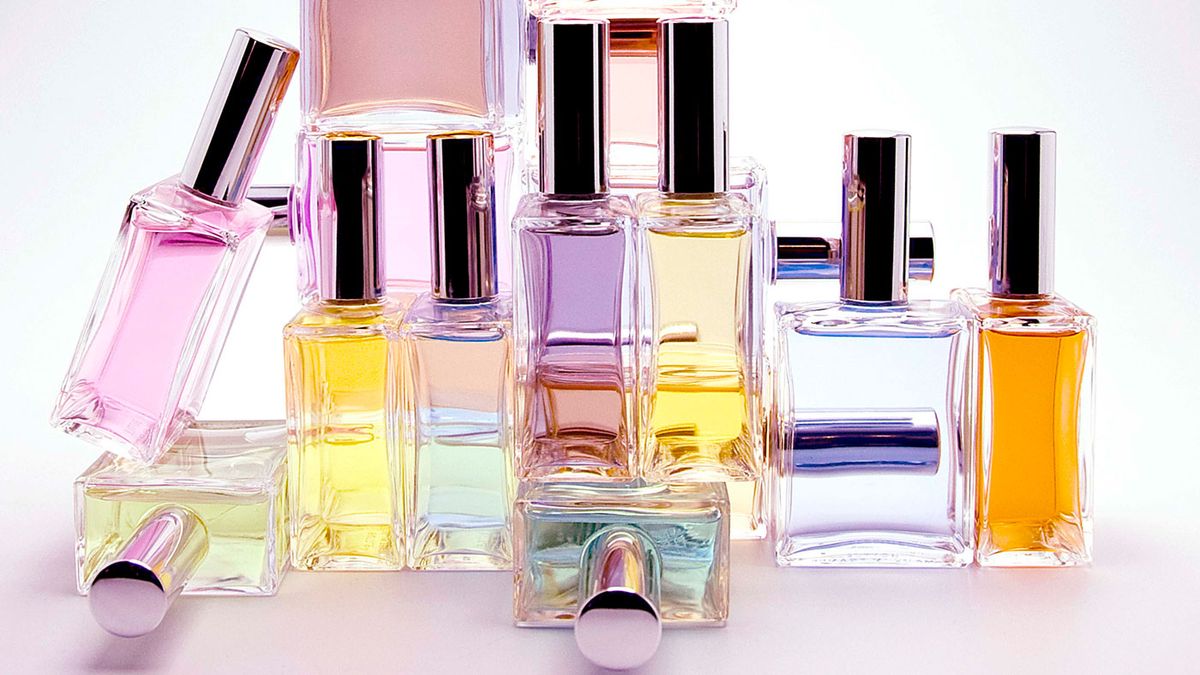 Perfume: A Sensory Journey at Somerset House | The Week