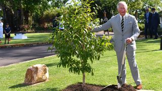 Prince Charles planting a tree in Australia