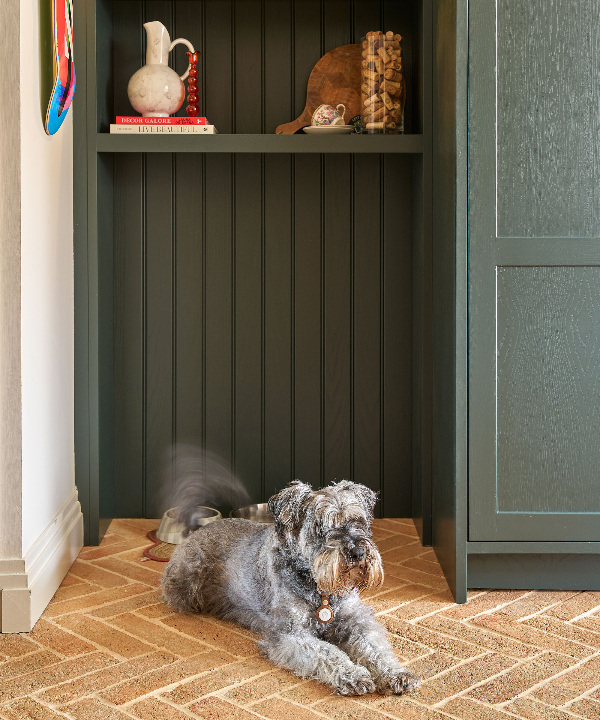 small dog lying on brick floor within fitted pantry