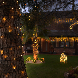 lights wrapped around trees with lights above a windows