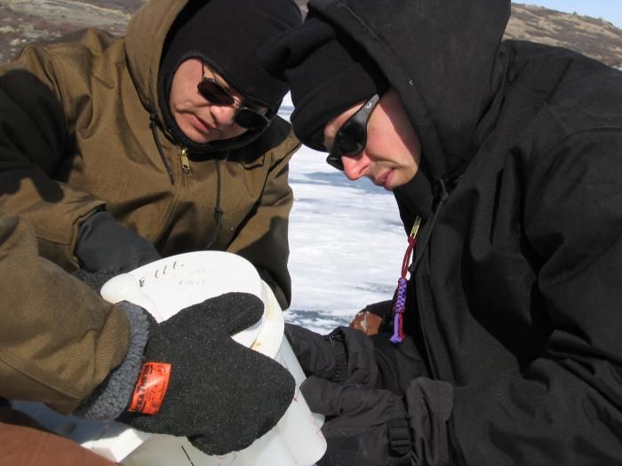 Greenland ice core