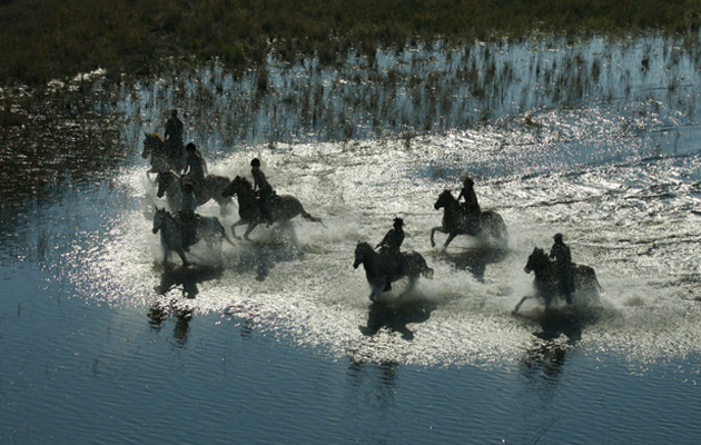 NEW BOTSWANA Water canter 20