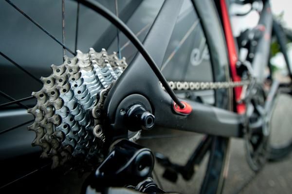 Fortunato Baliani (Team NIPPO) used 29T gear at steep mountain course