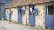 Horses heads looking over doors