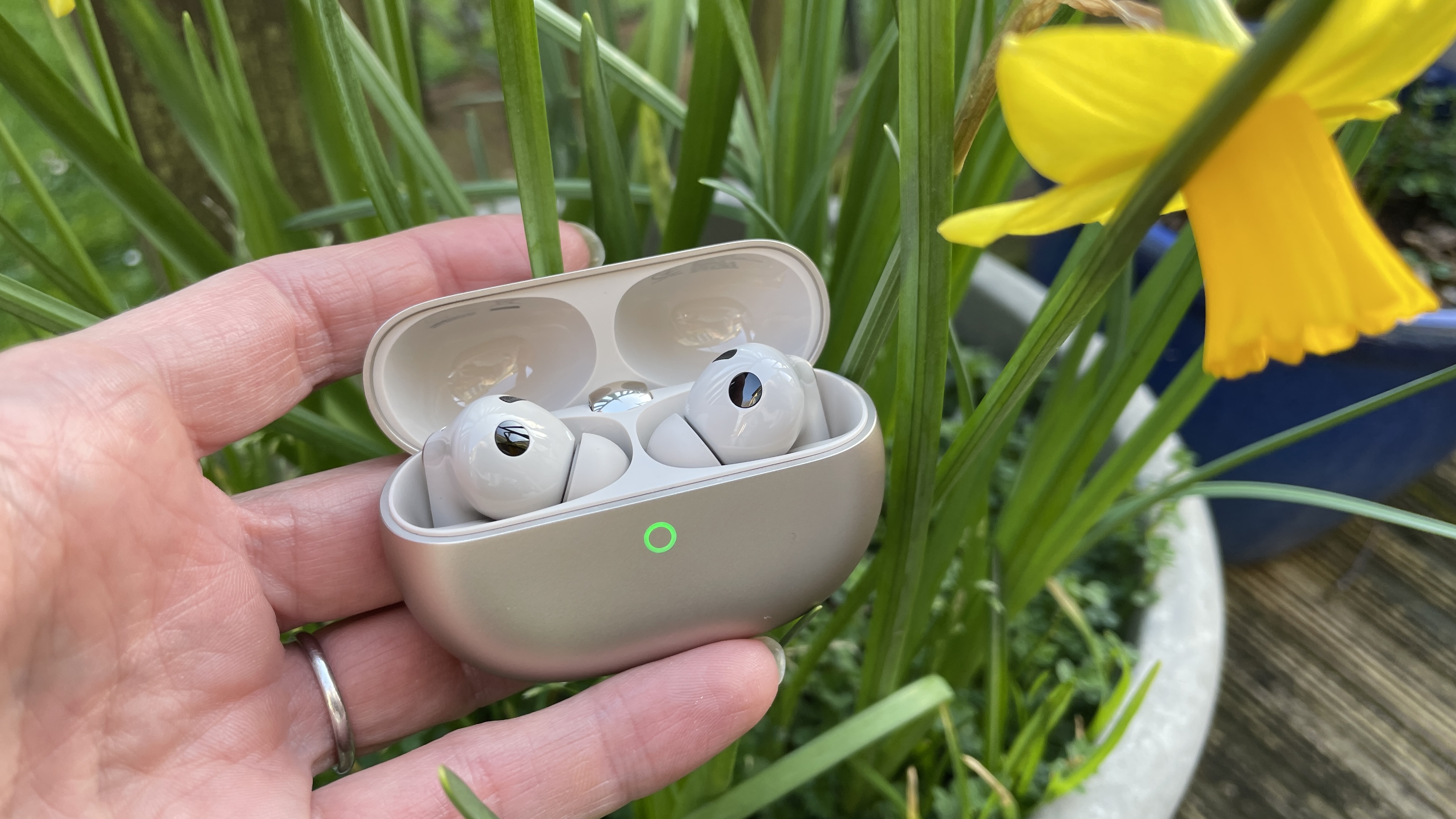 سماعات Huawei FreeBuds Pro 5 في الخارج، بالقرب من بعض أزهار النرجس البري، في شمس الظهيرة