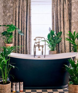 houseplants arranged in bathroom with roll top bath