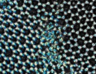 glass molecules in shear