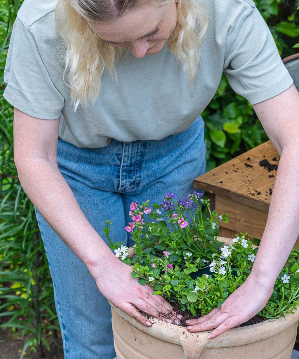 how-to-plant-flowers-in-pots-step-by-step-guide-to-patio-containers