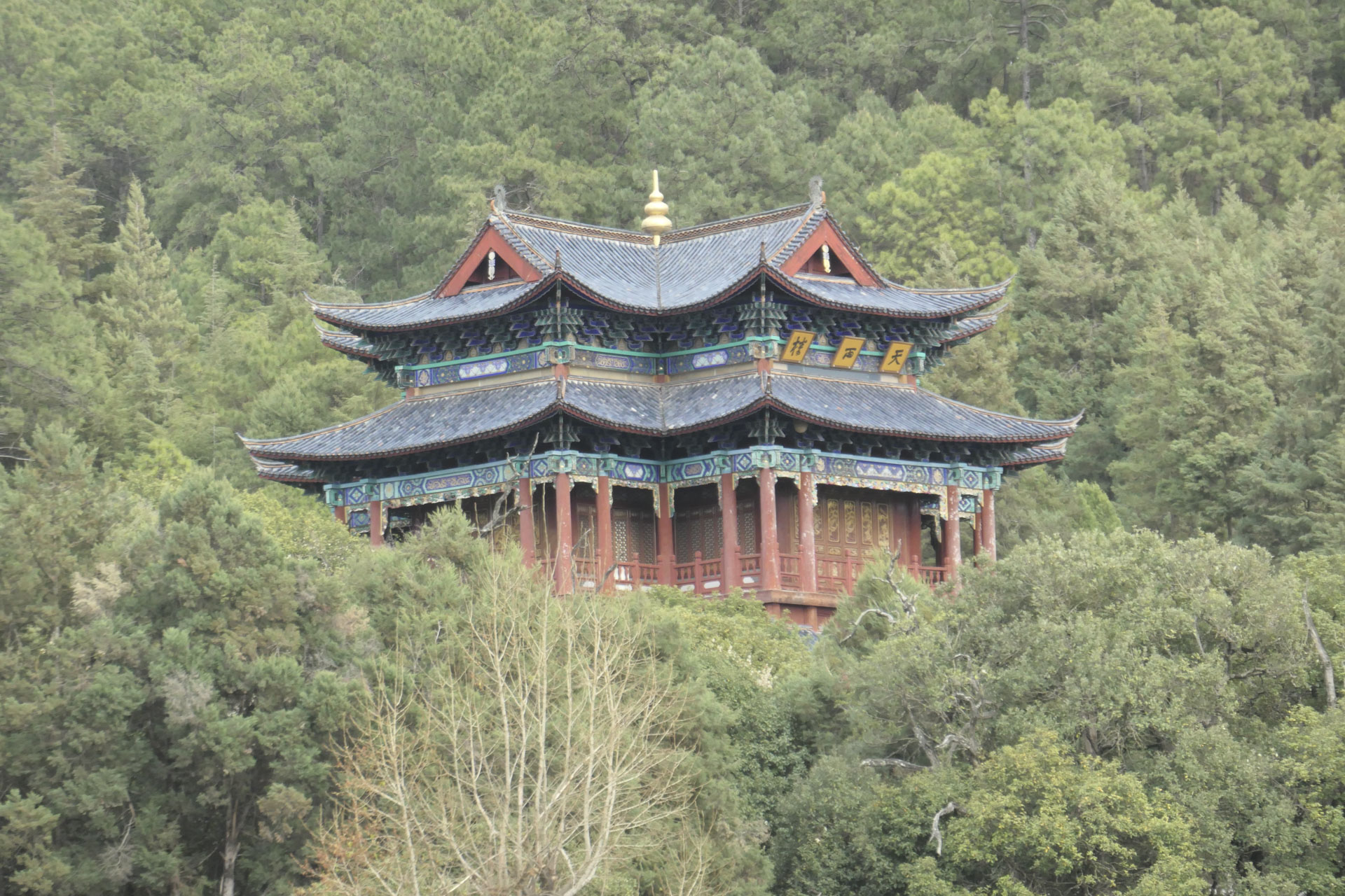 A Chinese temple nestled among trees