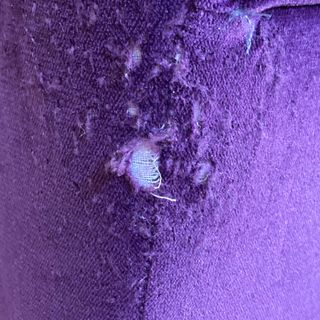 purple velvet sofa with cat scratch damage
