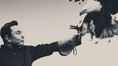 Illustration of Elon Musk wearing a falconer's glove and holding up a dollar bill to a descending bald eagle