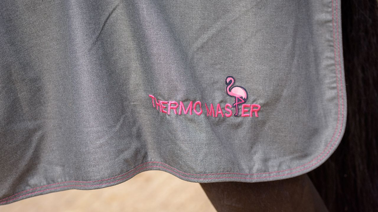 Thermomaster summer stable rug review