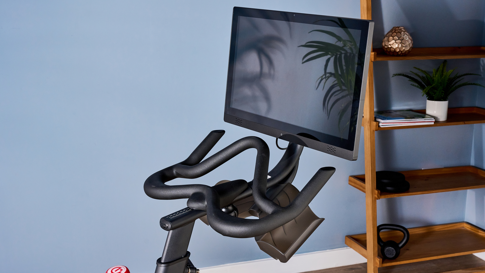 echleon ex-5s photographed in front of a blue background