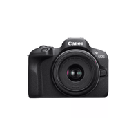 Canon EOS R8 mirrorless camera