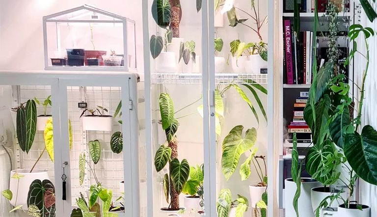  IKEA greenhouse cabinet