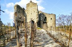 crozes-hermitage, larnage, jefford