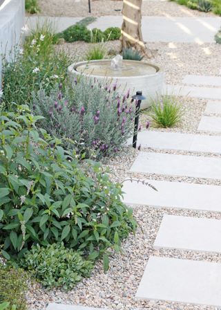 a gravel pathway with low growing plants at the edges to create a living edge