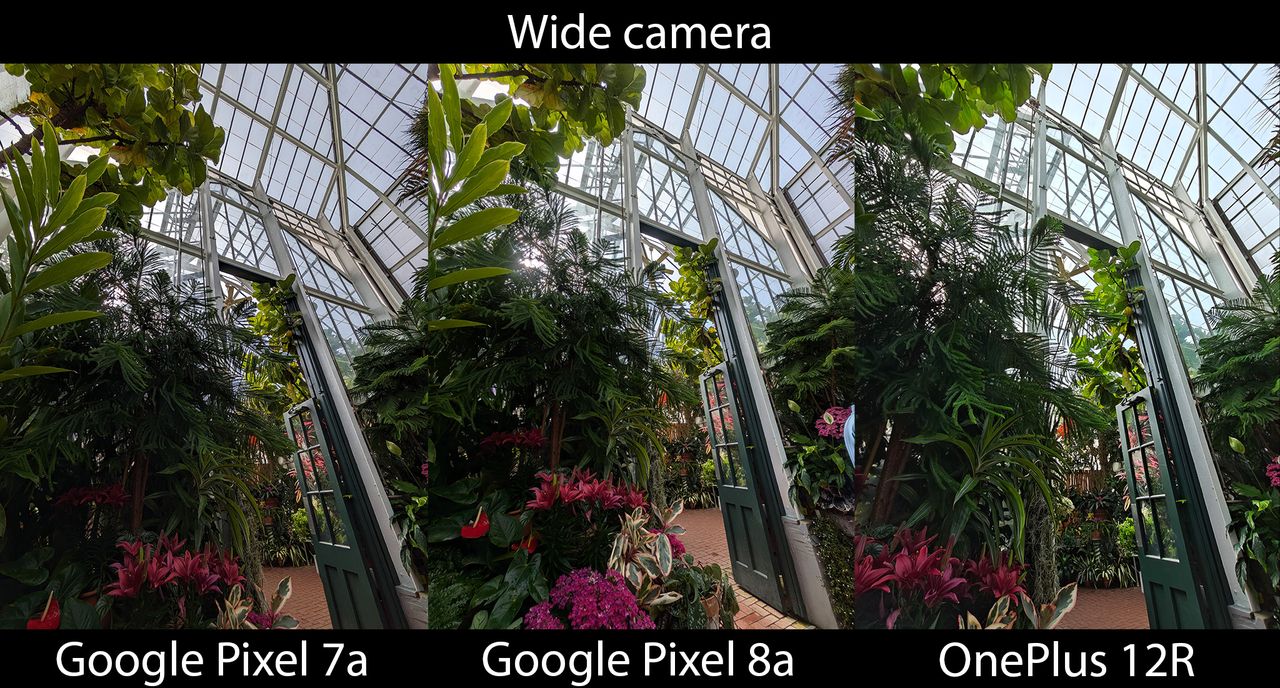 Comparing the Google Pixel 8a's camera with the Pixel 7a and OnePlus 12R