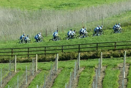 Similar to a scene from the Tour, the team rides through one of the area vineyards.
