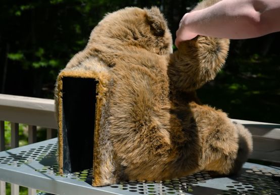 Bear-A-Byte