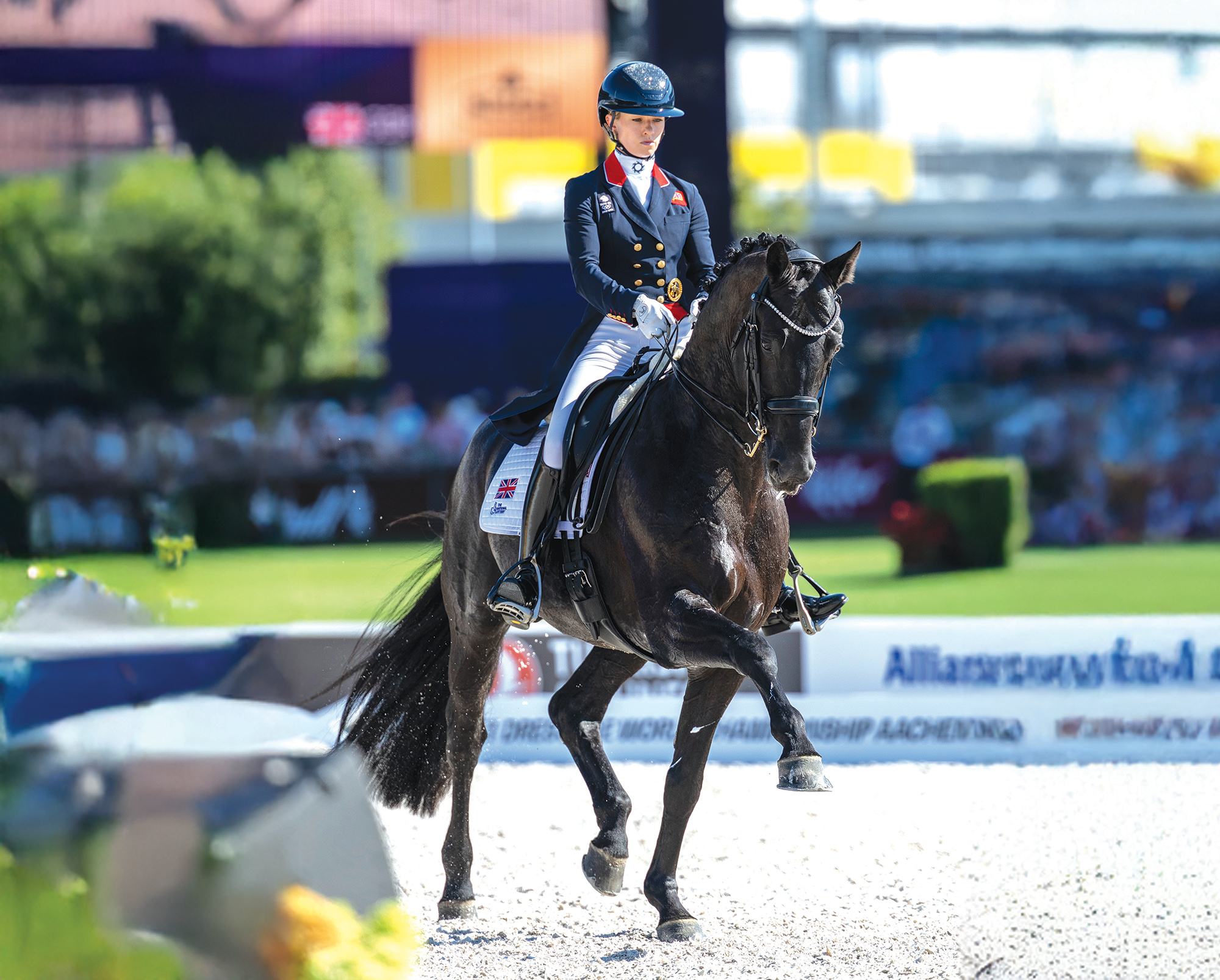 Black dressage stallion Glamourdale in extended trot ridden by Britain's Lottie Fry