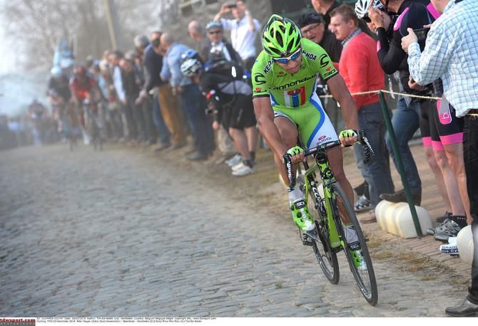 Peter Sagan (Cannondale) on the cobbles