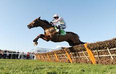 FAUGHEEN.jpg