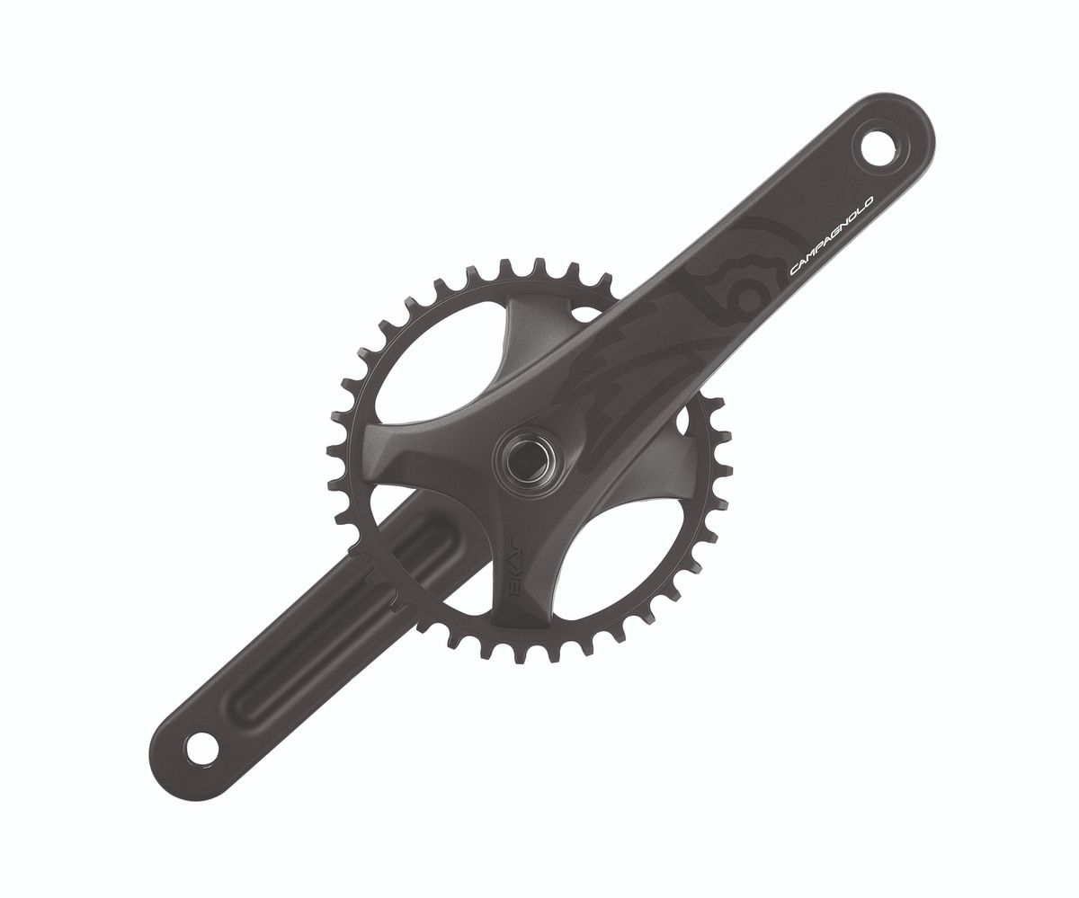 Campagnolo Ekar GT