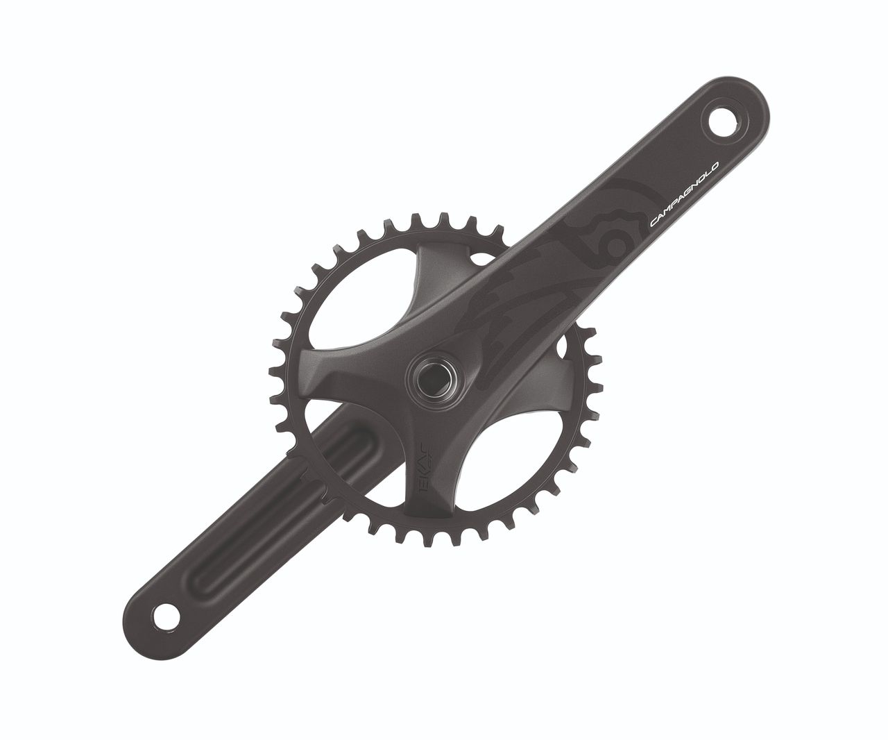 Campagnolo Ekar GT
