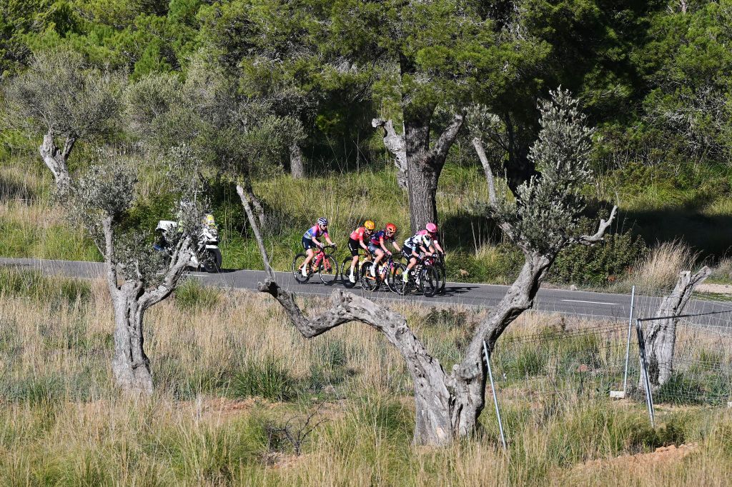 ANDRATX SPAIN JANUARY 27 A general view of the chase group compete during the 2nd Challenge Femenino Ciclista Mallorca 2025 Trofeo Binissalem Puerto de Andratx a 1075km One day race from Binissalem to Port dAndratx 168m on January 27 2025 in Binissalem Spain Photo by Tim de WaeleGetty Images